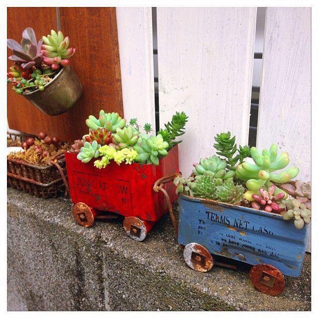 39 idées pour bien mettre en scène les succulentes 17