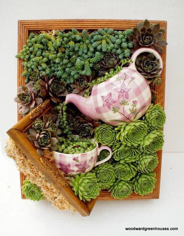39 idées pour bien mettre en scène les succulentes 24