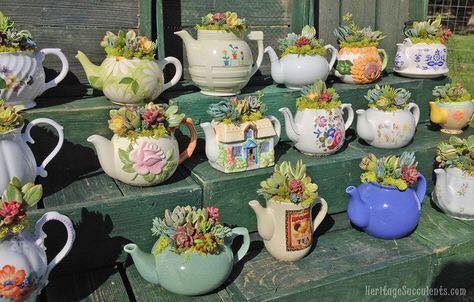 39 idées pour bien mettre en scène les succulentes 25