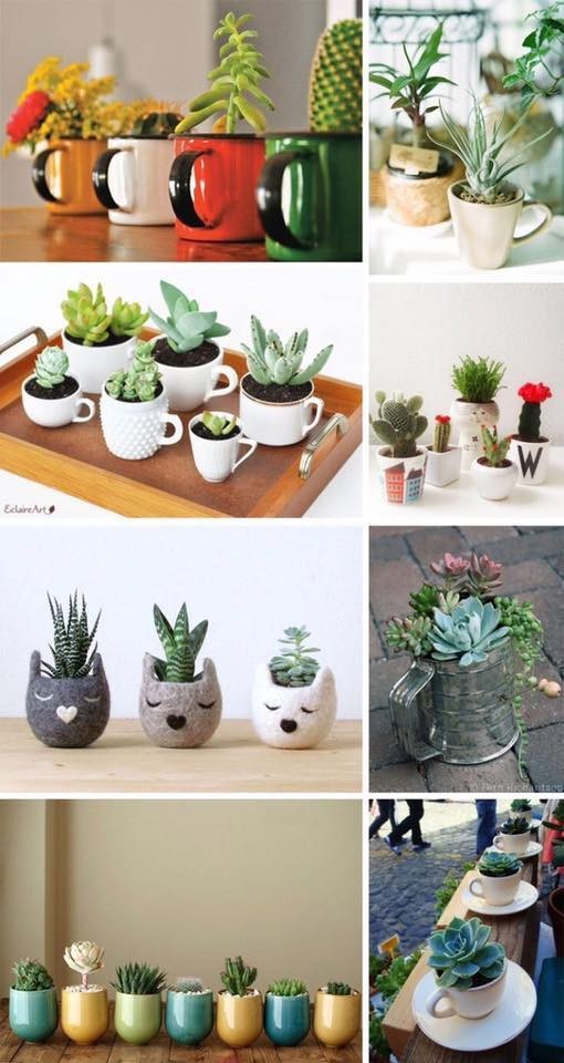 39 idées pour bien mettre en scène les succulentes 26