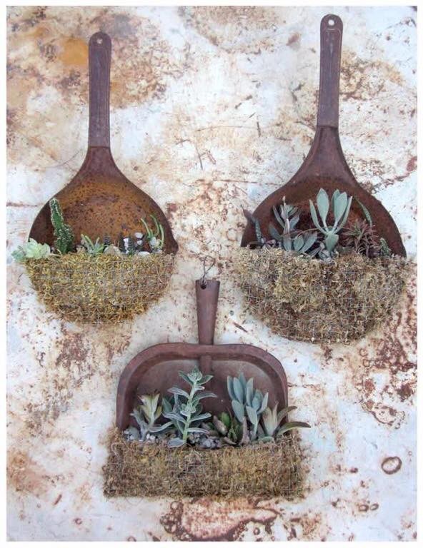 39 idées pour bien mettre en scène les succulentes 28
