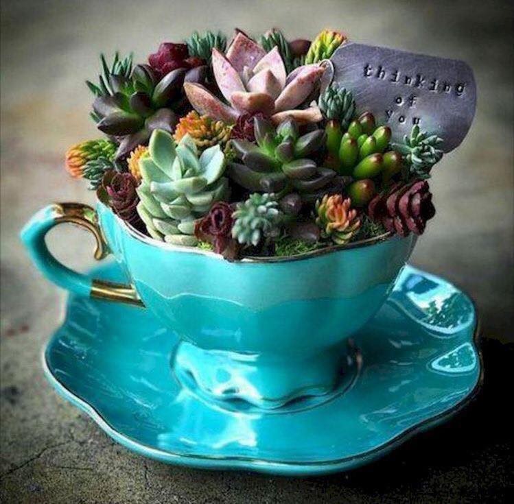 39 idées pour bien mettre en scène les succulentes 29