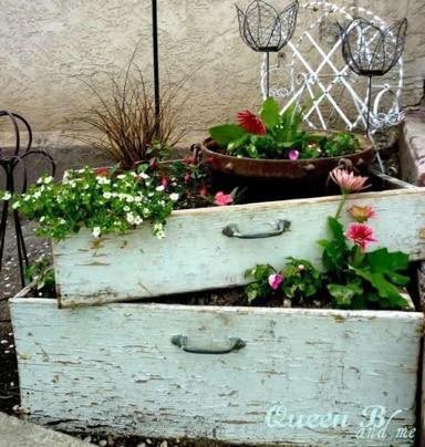 39 idées pour bien mettre en scène les succulentes 32