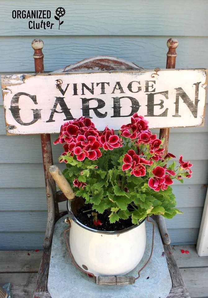 39 idées pour bien mettre en scène les succulentes 33