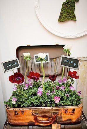 39 idées pour bien mettre en scène les succulentes 37