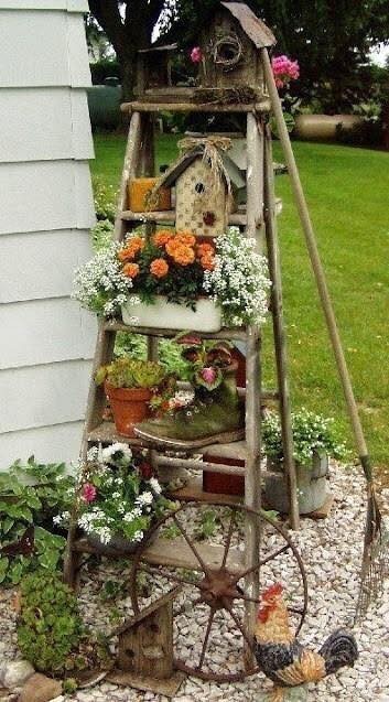 39 idées pour bien mettre en scène les succulentes 39