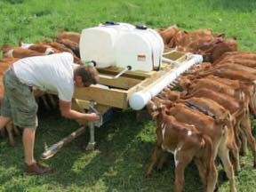 29 idées pour ceux qui voudraient avoir une ferme 3