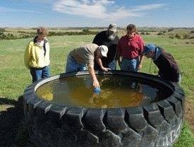 29 idées pour ceux qui voudraient avoir une ferme 9