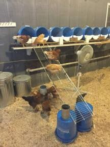 29 idées pour ceux qui voudraient avoir une ferme 15
