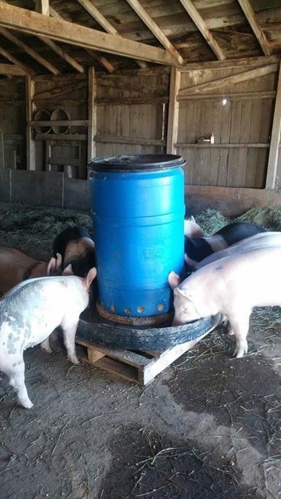 29 idées pour ceux qui voudraient avoir une ferme 19