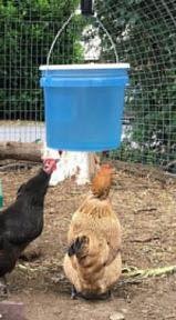 29 idées pour ceux qui voudraient avoir une ferme 27