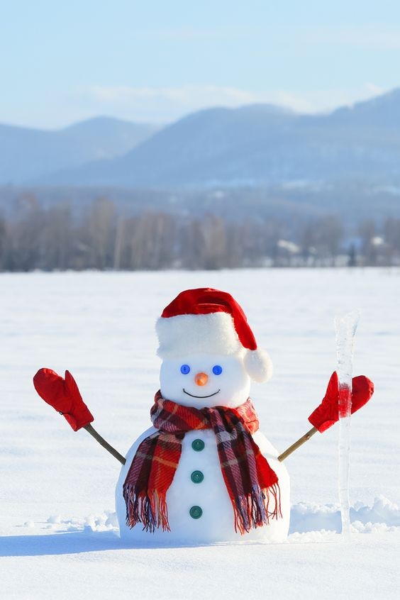 39 idées de bonhommes de neige à faire soi-même 6 39 idées de bonhommes de neige à faire soi-même 6
