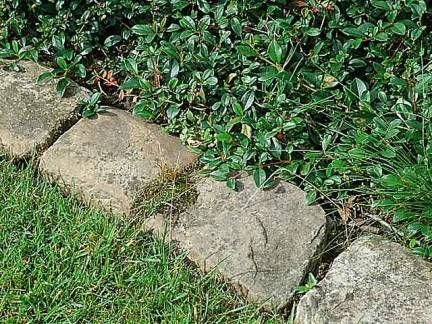 60 top idées de bordures de jardin en pierre 17