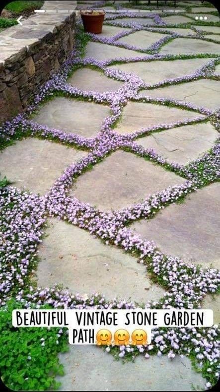 60 top idées de bordures de jardin en pierre 35