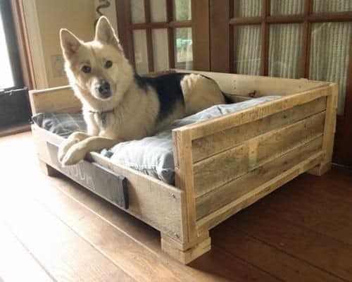 23 idées de lits pour chiens en palettes 3 23 idées de lits pour chiens en palettes 3