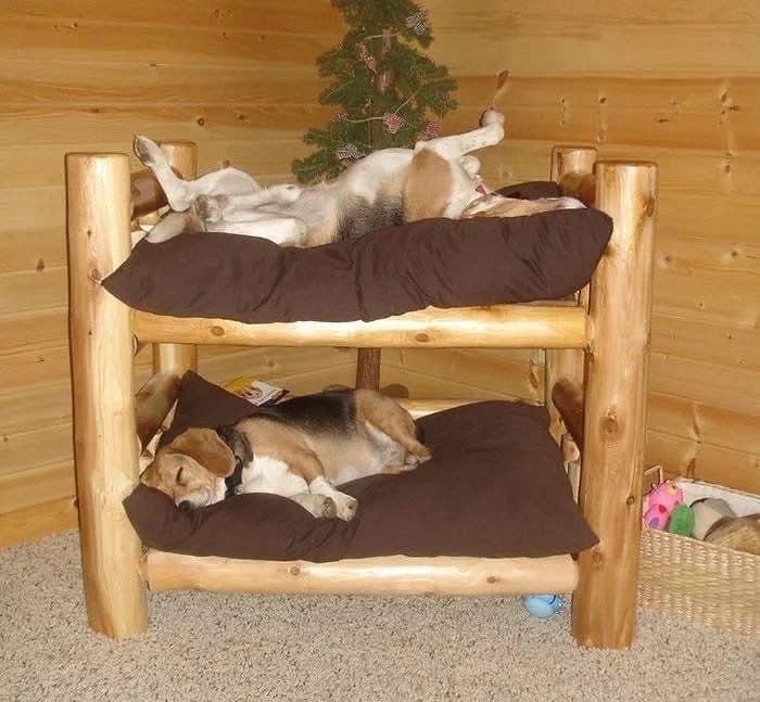 23 idées de lits pour chiens en palettes 14 23 idées de lits pour chiens en palettes 14