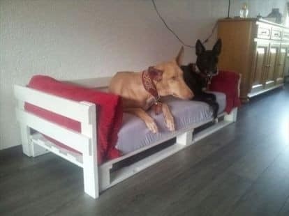 23 idées de lits pour chiens en palettes 16 23 idées de lits pour chiens en palettes 16