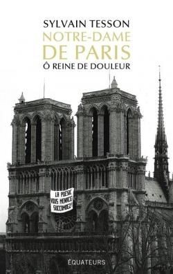 50 anecdotes amusantes à partager entre potes 2