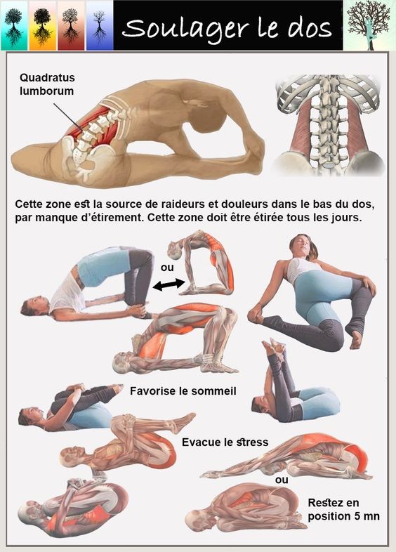 21 Etirements à faire en 5 Minutes pour soulager les douleurs du bas du dos 2 L’attribut alt de cette image est vide, son nom de fichier est -26.jpg.