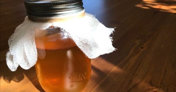La recette pour faire du vinaigre de cidre à partir des restes de pommes 3 La recette pour faire du vinaigre de cidre à partir des restes de pommes 3