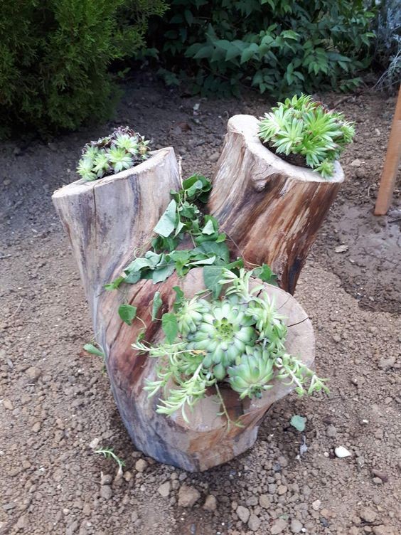 28 idées pour décorer votre jardin avec des troncs d'arbre 21 28 idées pour décorer votre jardin avec des troncs d'arbre 21