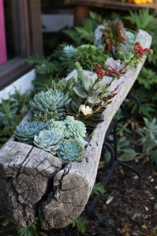 28 idées pour décorer votre jardin avec des troncs d'arbre 22 28 idées pour décorer votre jardin avec des troncs d'arbre 22
