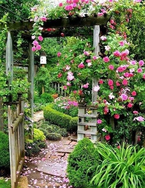 29 trucs cools à faire pour avoir un jardin au top 27 29 trucs cools à faire pour avoir un jardin au top 27
