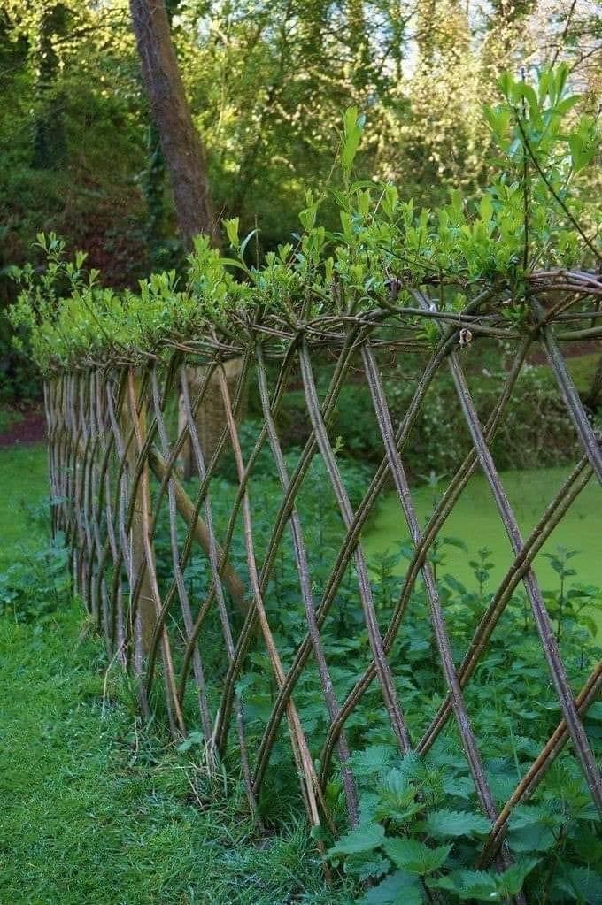 14 idées de clôtures naturelles 3 14 idées de clôtures naturelles 3