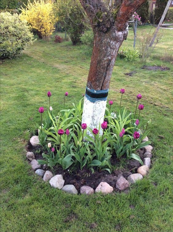 22 idées pour créer un parterre de fleurs rond 18