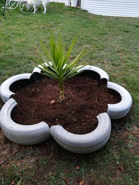 22 idées pour créer un parterre de fleurs rond 6