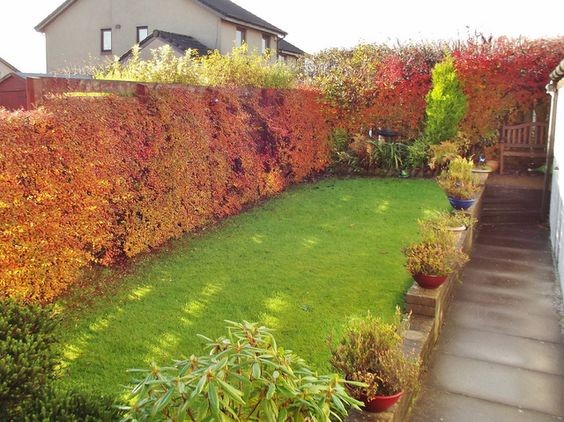 24 Idées d'aménagements de petits jardins 24 24 Idées d'aménagements de petits jardins 24