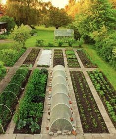 24 idées pour avoir un potager bien organisé 22