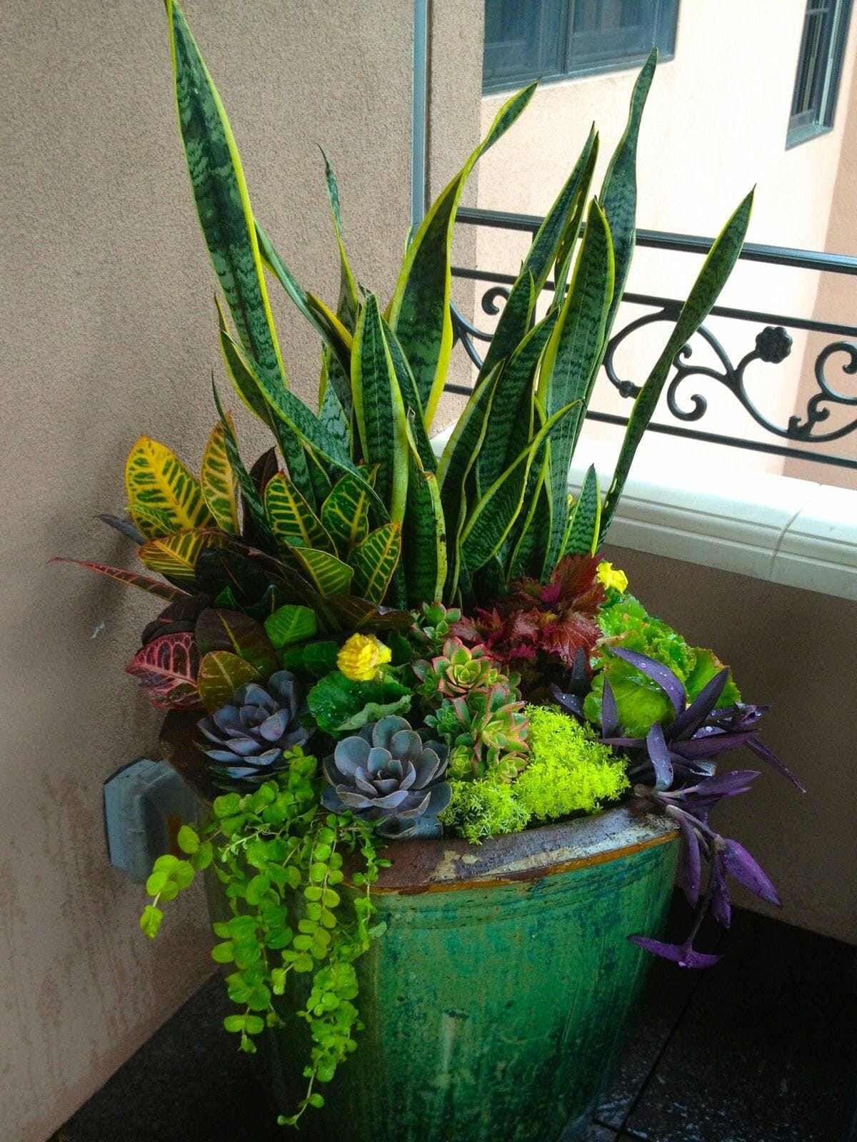 25 belles idées pour les petites plantes en pot 9 25 belles idées pour les petites plantes en pot 9