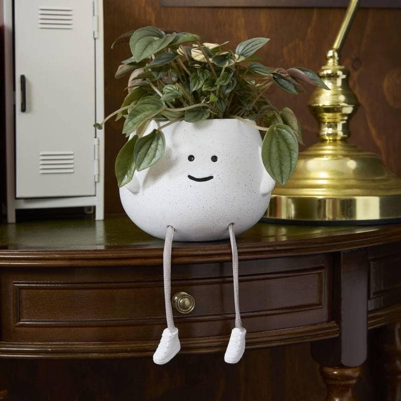 25 belles idées pour les petites plantes en pot 18 25 belles idées pour les petites plantes en pot 18