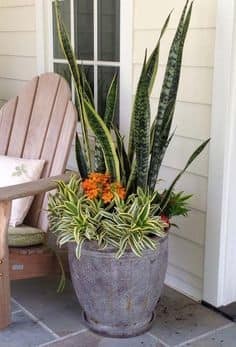 25 belles idées pour les petites plantes en pot 20 25 belles idées pour les petites plantes en pot 20