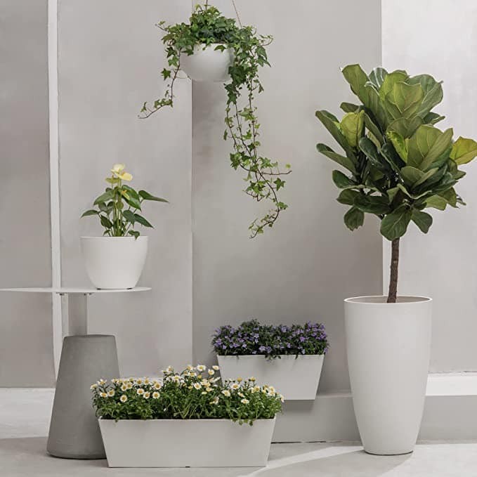 25 belles idées pour les petites plantes en pot 21 25 belles idées pour les petites plantes en pot 21