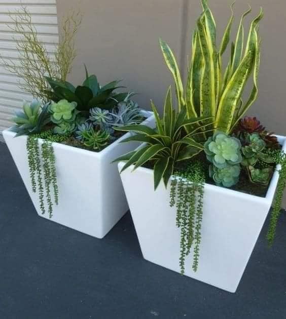 25 belles idées pour les petites plantes en pot 24 25 belles idées pour les petites plantes en pot 24