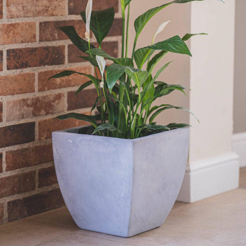 25 belles idées pour les petites plantes en pot 10 25 belles idées pour les petites plantes en pot 10