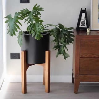 25 belles idées pour les petites plantes en pot 11 25 belles idées pour les petites plantes en pot 11