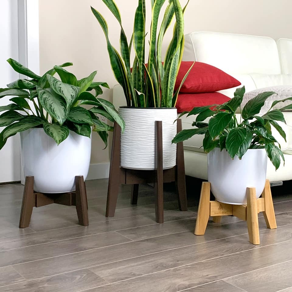 25 belles idées pour les petites plantes en pot 12 25 belles idées pour les petites plantes en pot 12