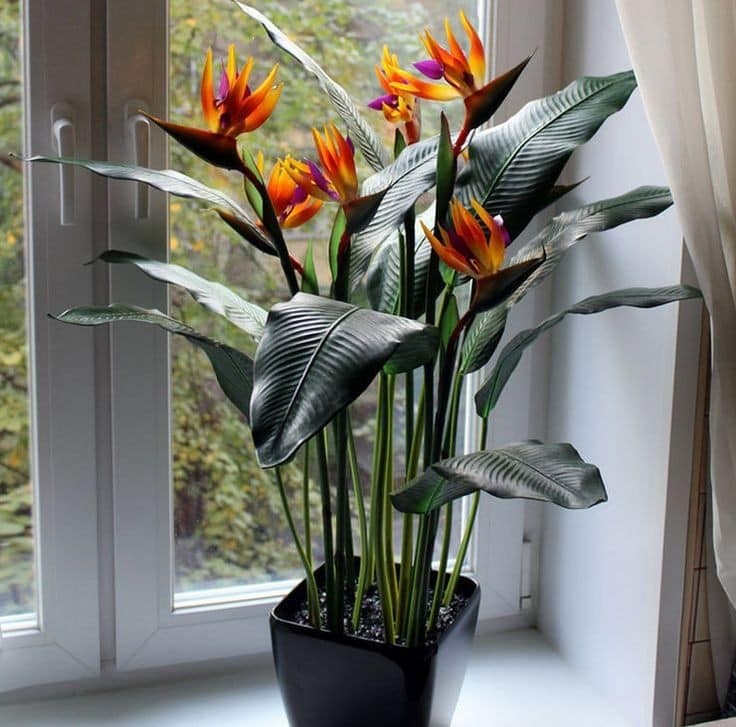 25 belles idées pour les petites plantes en pot 13 25 belles idées pour les petites plantes en pot 13