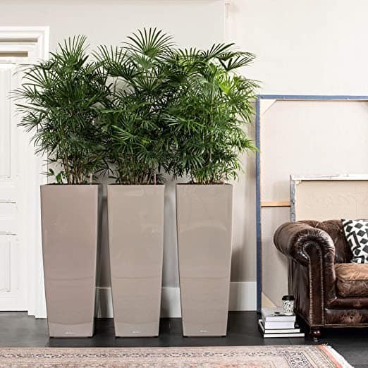 25 belles idées pour les petites plantes en pot 14 25 belles idées pour les petites plantes en pot 14