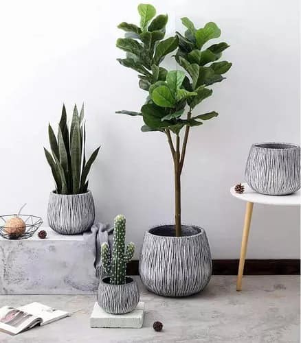 25 belles idées pour les petites plantes en pot 17 25 belles idées pour les petites plantes en pot 17