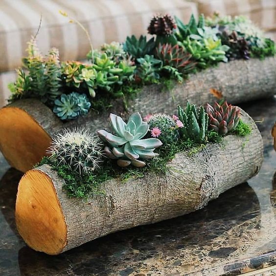 30 Idées pour recycler des bûches tombées 30