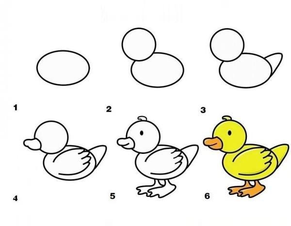 15 animaux faciles à dessiner avec des tutoriels étape par étape 2