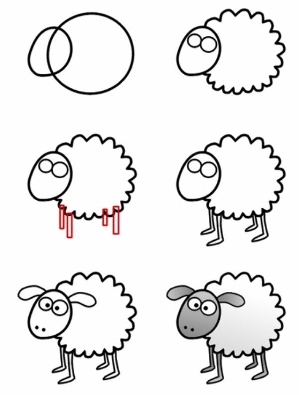 15 animaux faciles à dessiner avec des tutoriels étape par étape 5
