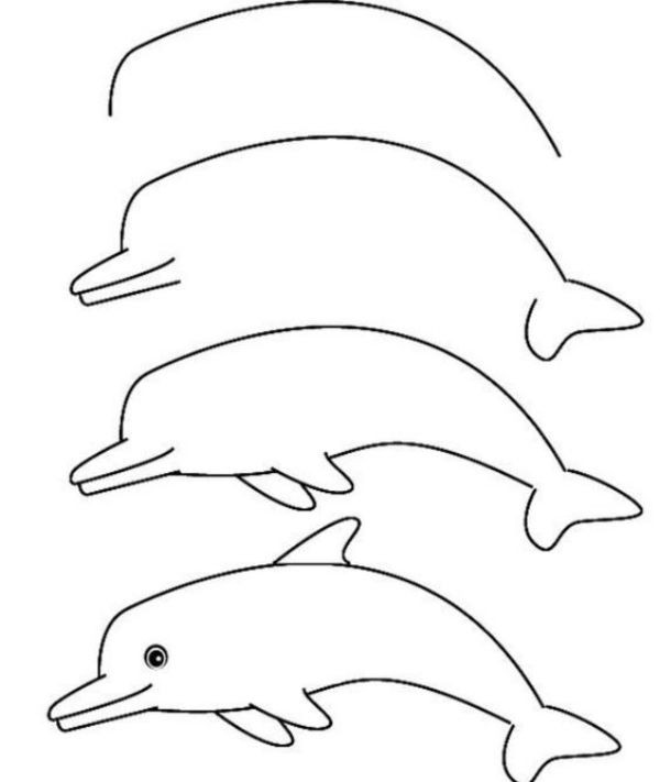 15 animaux faciles à dessiner avec des tutoriels étape par étape 13