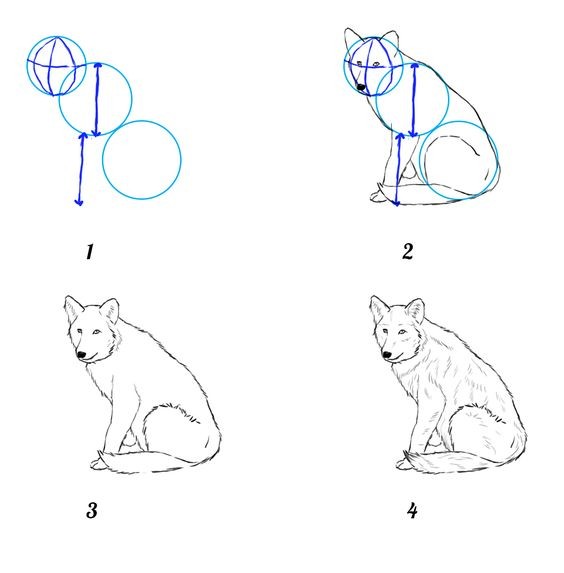 50 idées de dessins d'animaux faciles à faire 2 50 idées de dessins d'animaux faciles à faire 2