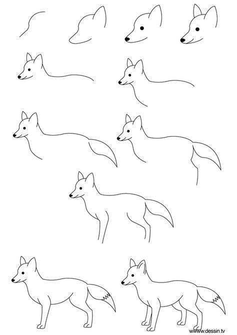 50 idées de dessins d'animaux faciles à faire 3 50 idées de dessins d'animaux faciles à faire 3