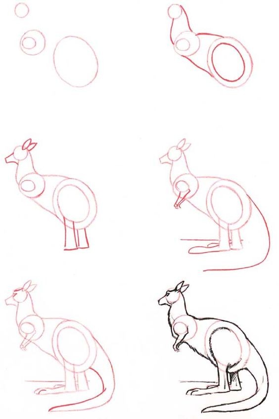 50 idées de dessins d'animaux faciles à faire 4 50 idées de dessins d'animaux faciles à faire 4